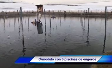 Venta Camaronera intensiva en Chanduy 100 hectáreas - N21