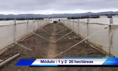 Venta Camaronera intensiva en Chanduy 100 hectáreas - N21