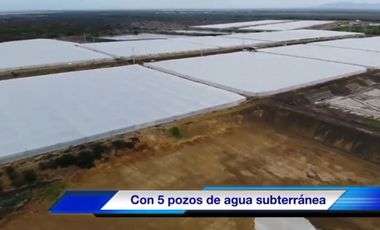 Venta Camaronera intensiva en Chanduy 100 hectáreas - N21