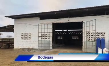 Venta Camaronera intensiva en Chanduy 100 hectáreas - N21