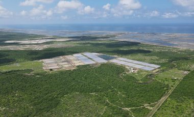 Venta Camaronera intensiva en Chanduy 100 hectáreas - N21