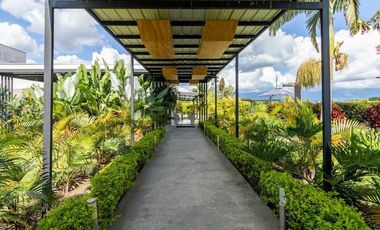 TE ALQUILO EXCLUSIVA FINCA EL COCORA EN IBAGUE INF AL3244258952 LOS ESPERAMOS VEN A DISFRUTAR.