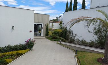 Arriendo casa por estrenar en Puembo en conjunto con piscina, pádel, gimnasio $900 incluida alícuota.