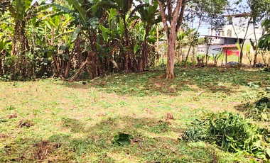 En venta terreno, Sector “Yambas”, Macas