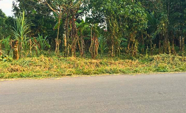 En venta terreno, Sector “Yambas”, Macas