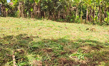 En venta terreno, Sector “Yambas”, Macas