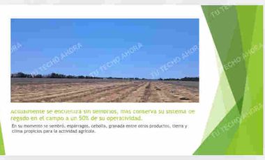 VENDO 1000 HECTÁREAS