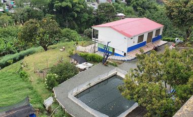 EN VENTA LOTE DE 49.000 SOBRE LA VARIANTE LA ROMELIA EL POLLO