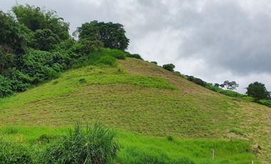 EN VENTA LOTE DE 49.000 SOBRE LA VARIANTE LA ROMELIA EL POLLO