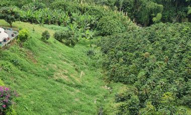 EN VENTA LOTE DE 49.000 SOBRE LA VARIANTE LA ROMELIA EL POLLO