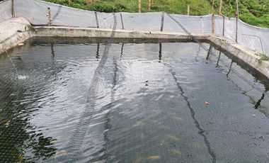 EN VENTA LOTE DE 49.000 SOBRE LA VARIANTE LA ROMELIA EL POLLO