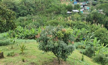 EN VENTA LOTE DE 49.000 SOBRE LA VARIANTE LA ROMELIA EL POLLO