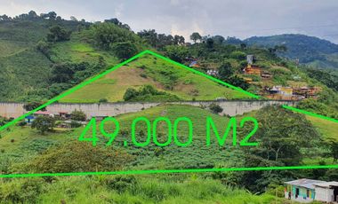 EN VENTA LOTE DE 49.000 SOBRE LA VARIANTE LA ROMELIA EL POLLO