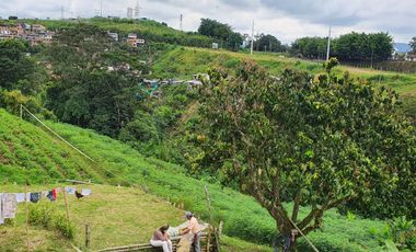 EN VENTA LOTE DE 49.000 SOBRE LA VARIANTE LA ROMELIA EL POLLO