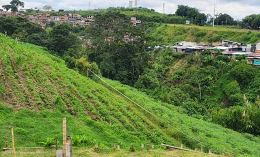 EN VENTA LOTE DE 49.000 SOBRE LA VARIANTE LA ROMELIA EL POLLO
