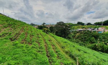 EN VENTA LOTE DE 49.000 SOBRE LA VARIANTE LA ROMELIA EL POLLO