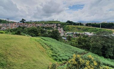 EN VENTA LOTE DE 49.000 SOBRE LA VARIANTE LA ROMELIA EL POLLO