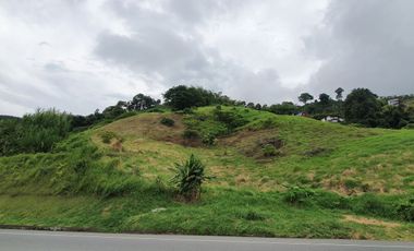 EN VENTA LOTE DE 49.000 SOBRE LA VARIANTE LA ROMELIA EL POLLO