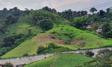 EN VENTA LOTE DE 49.000 SOBRE LA VARIANTE LA ROMELIA EL POLLO