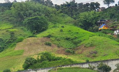 EN VENTA LOTE DE 49.000 SOBRE LA VARIANTE LA ROMELIA EL POLLO