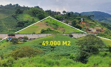 EN VENTA LOTE DE 49.000 SOBRE LA VARIANTE LA ROMELIA EL POLLO