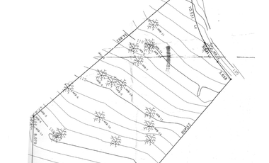 Terreno en venta en San Pedro Garza García