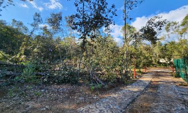 Terreno venta en Quinta Andrea 2742 m2, Huasca de Ocampo, Hidalgo