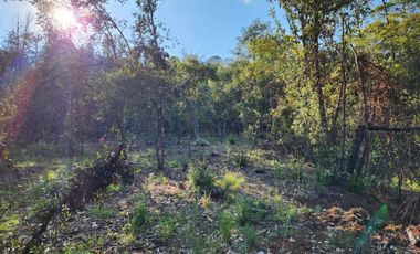 Terreno venta en Quinta Andrea 2742 m2, Huasca de Ocampo, Hidalgo