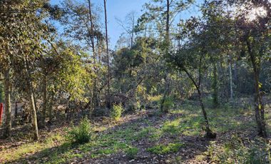 Terreno venta en Quinta Andrea 2742 m2, Huasca de Ocampo, Hidalgo