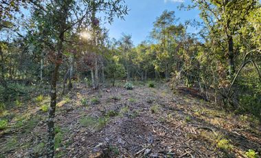 Terreno venta en Quinta Andrea 2742 m2, Huasca de Ocampo, Hidalgo