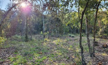 Terreno venta en Quinta Andrea 2742 m2, Huasca de Ocampo, Hidalgo