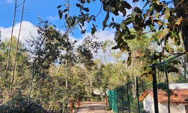 Terreno venta en Quinta Andrea 2742 m2, Huasca de Ocampo, Hidalgo