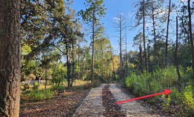 Terreno venta en Quinta Andrea 2742 m2, Huasca de Ocampo, Hidalgo