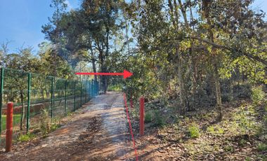 Terreno venta en Quinta Andrea 2742 m2, Huasca de Ocampo, Hidalgo