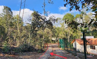 Terreno venta en Quinta Andrea 2742 m2, Huasca de Ocampo, Hidalgo