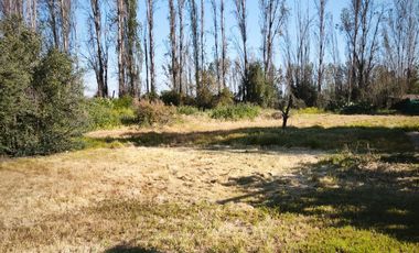 Casa parcela 5700 m2 Muy cerca ruta5 norte Recepcion final