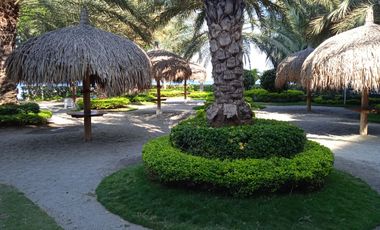 Apartamento de 4 habitaciones 5 baños en Pozos Colorados Frente al Mar.