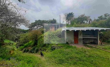 VENTA PEQUEÑA FINCA FILANDIA QUINDIO