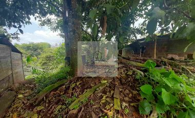 VENTA PEQUEÑA FINCA FILANDIA QUINDIO