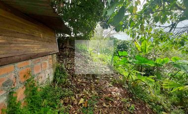 VENTA PEQUEÑA FINCA FILANDIA QUINDIO