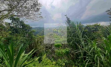 VENTA PEQUEÑA FINCA FILANDIA QUINDIO