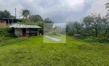 VENTA PEQUEÑA FINCA FILANDIA QUINDIO