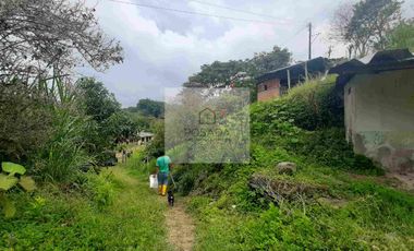 VENTA PEQUEÑA FINCA FILANDIA QUINDIO