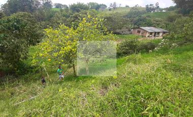 VENTA PEQUEÑA FINCA FILANDIA QUINDIO