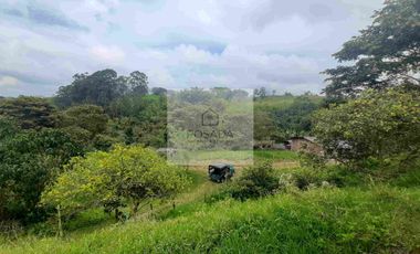 VENTA PEQUEÑA FINCA FILANDIA QUINDIO