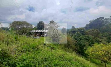 VENTA PEQUEÑA FINCA FILANDIA QUINDIO