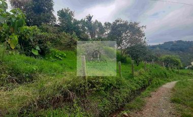 VENTA PEQUEÑA FINCA FILANDIA QUINDIO