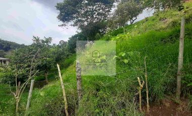 VENTA PEQUEÑA FINCA FILANDIA QUINDIO