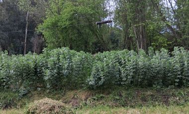 Excelente oportunidad – Camino Bobadilla, San Javier