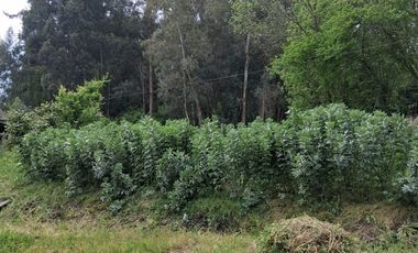 Excelente oportunidad – Camino Bobadilla, San Javier